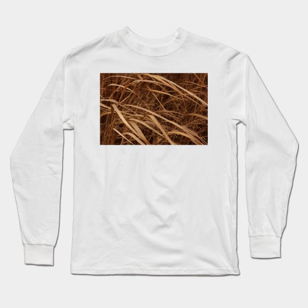 December's Grasses Long Sleeve T-Shirt by lyle58